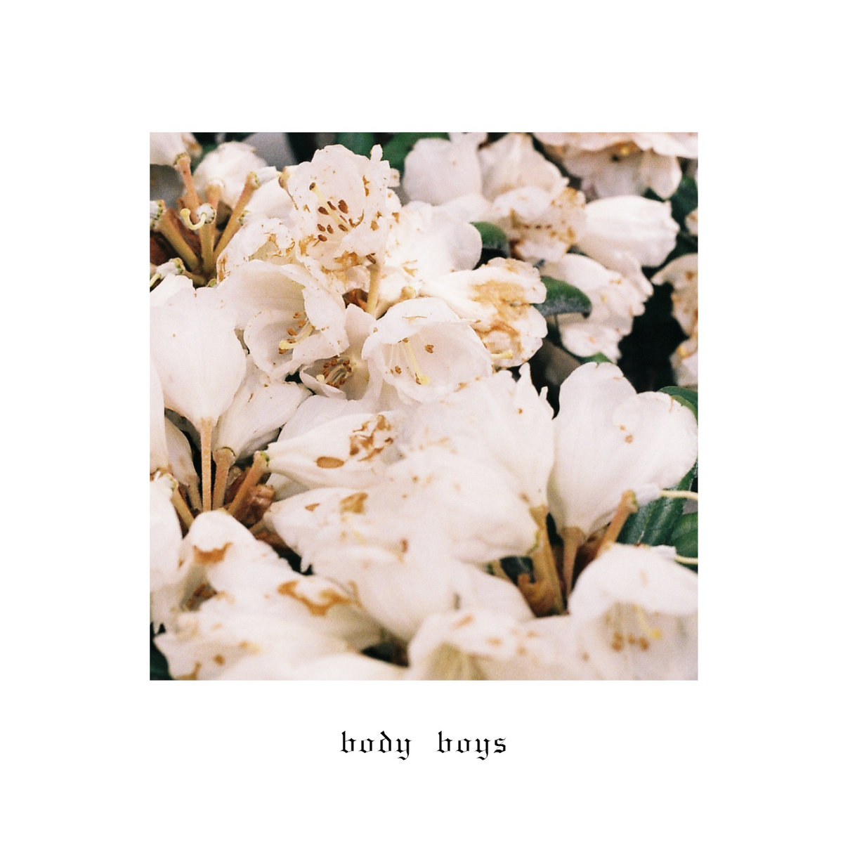 Album 15